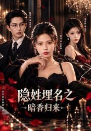 隐姓埋名之暗香归来